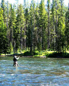 Mac_Casting_Bechler River_W